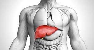 Is liver disease the next major lifestyle disease after diabetes and BP?