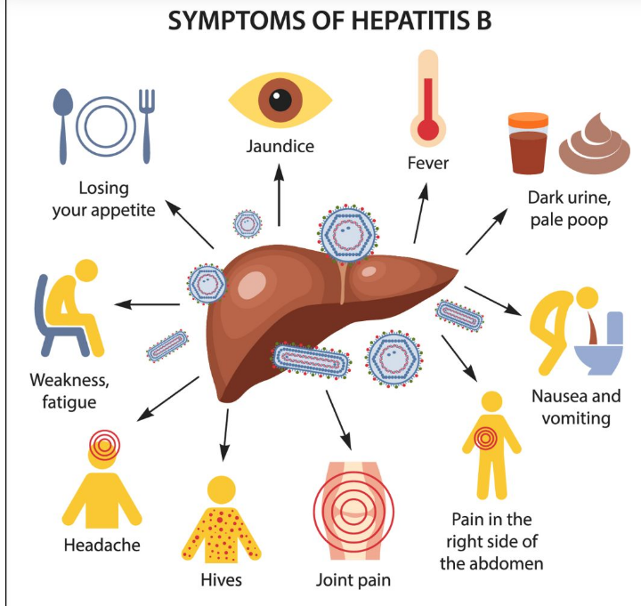 Hepatitis B